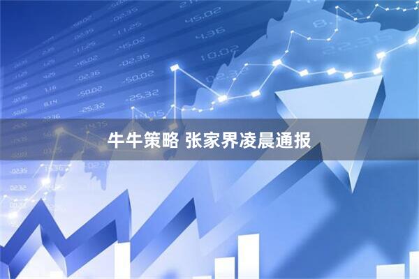 牛牛策略 张家界凌晨通报