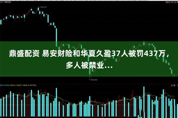 鼎盛配资 易安财险和华夏久盈37人被罚437万，多人被禁业…
