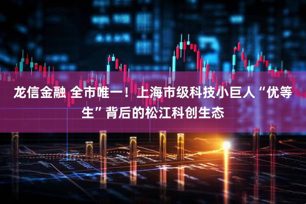 龙信金融 全市唯一！上海市级科技小巨人“优等生”背后的松江科创生态