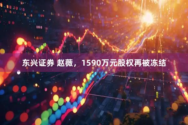 东兴证券 赵薇，1590万元股权再被冻结