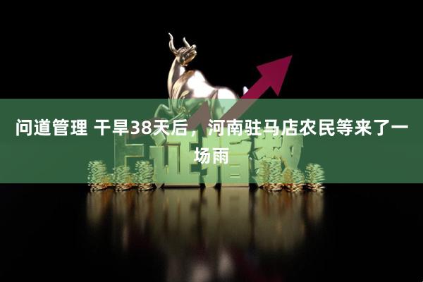 问道管理 干旱38天后，河南驻马店农民等来了一场雨