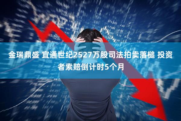 金瑞鼎盛 宜通世纪2527万股司法拍卖落槌 投资者索赔倒计时5个月