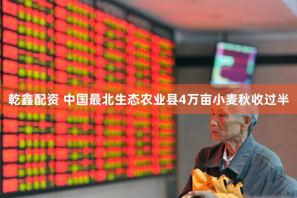 乾鑫配资 中国最北生态农业县4万亩小麦秋收过半