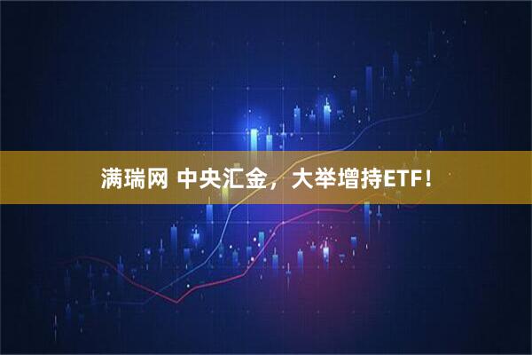 满瑞网 中央汇金，大举增持ETF！