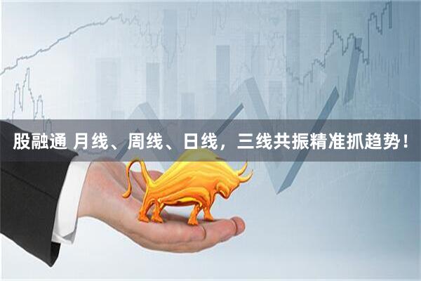 股融通 月线、周线、日线，三线共振精准抓趋势！