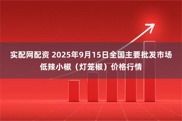 实配网配资 2025年9月15日全国主要批发市场低辣小椒（灯笼椒）价格行情
